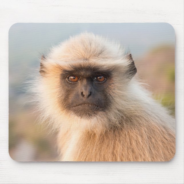 Mousepad Adorable Langurs Presbytis Entellus (Frente)