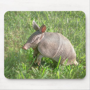 Mousepad Adorável Baby Armadillo
