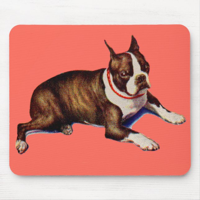 Mousepad adorável Boston terrier (Frente)