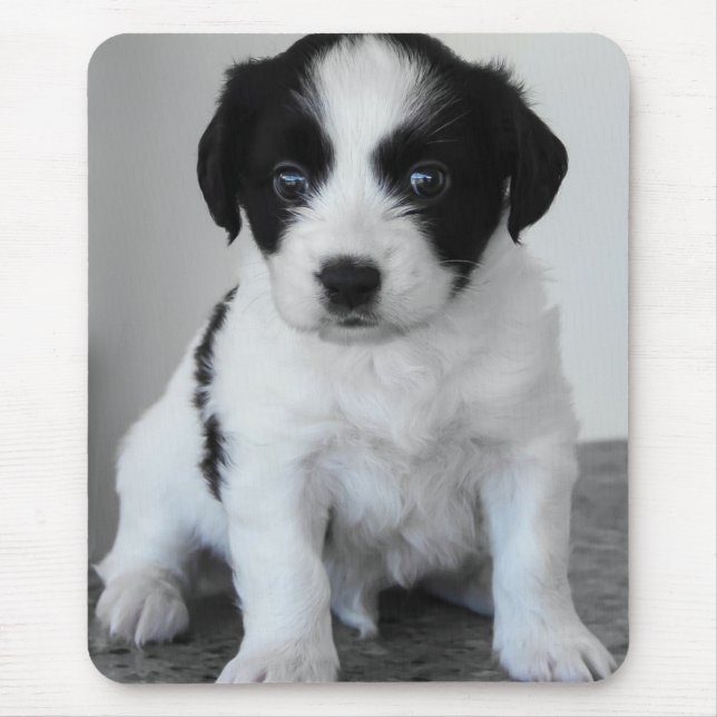 Mousepad Adorável Cachorrinho Preto e Branco (Frente)