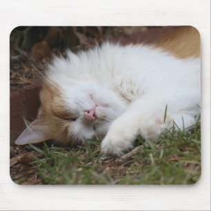 mousepad adorável do gato do sono