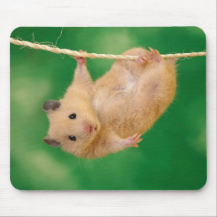 Mousepad adorável do hamster