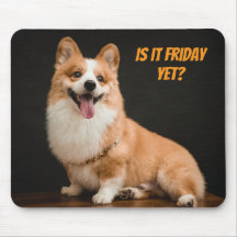Adorável Ratinho de Mouse de Cachorrinho Corgi. Já