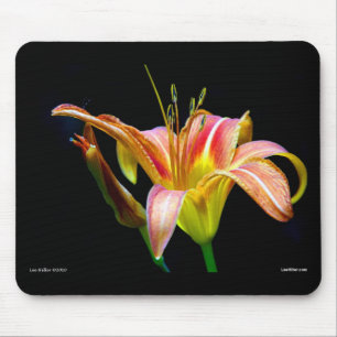Mousepad Adorável Roupa e presentes de Tawny Daylily II