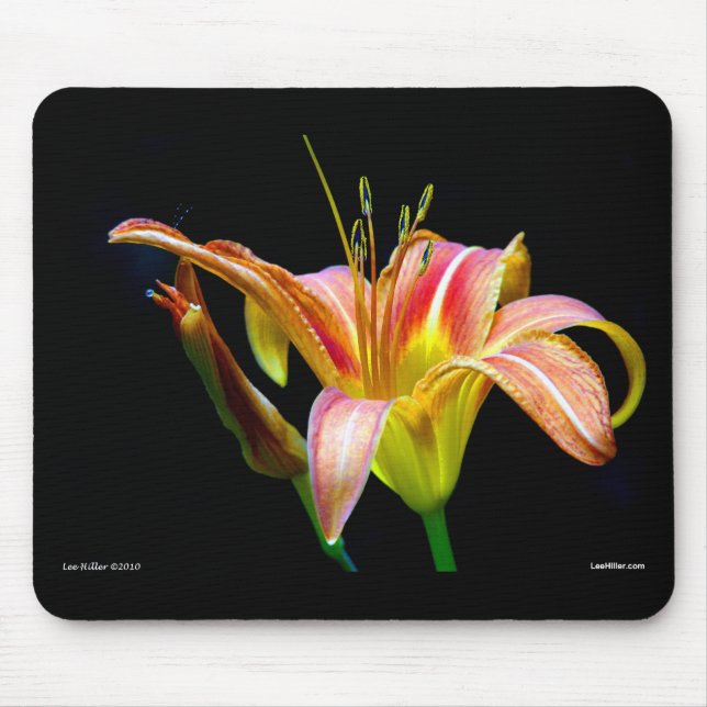 Mousepad Adorável Roupa e presentes de Tawny Daylily II (Frente)