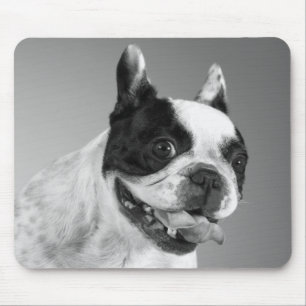 Mousepad Adoro O Cachorro Negro E Branco