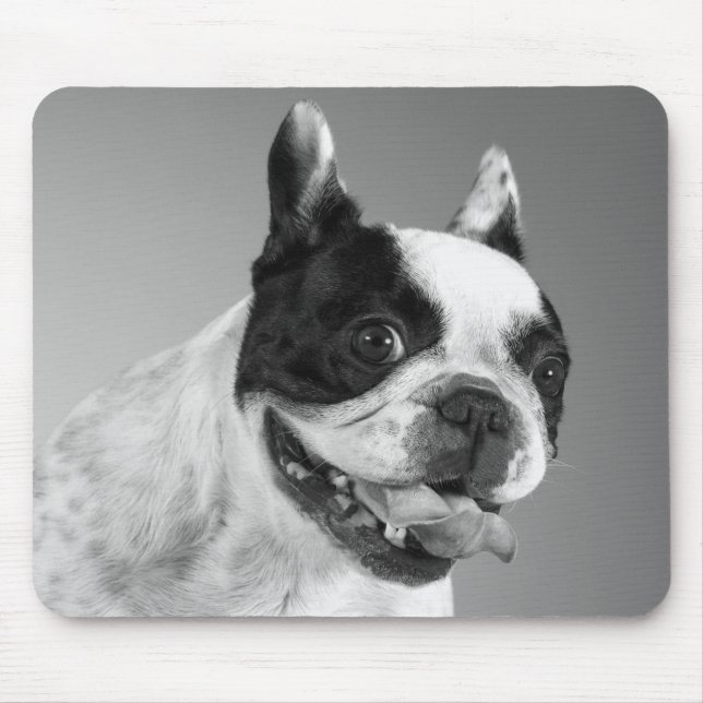 Mousepad Adoro O Cachorro Negro E Branco (Frente)