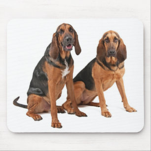 Mousepad Adoro Sangue Cachorro Cachorro