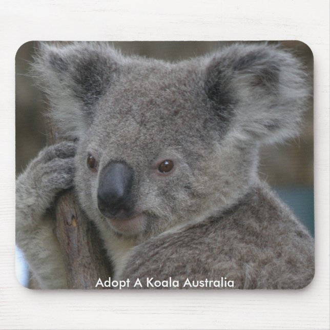 Mousepad Adota Koala Austrália (Frente)