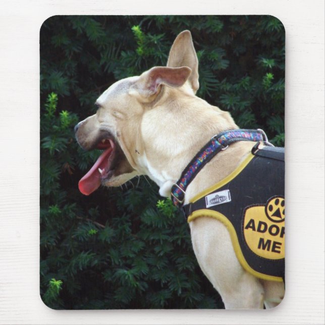 Mousepad Adote-me (Frente)