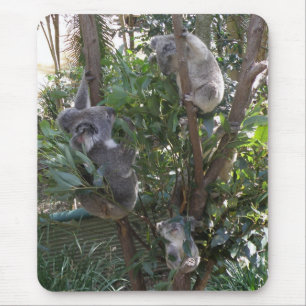 Mousepad Adote um Coala Austrália