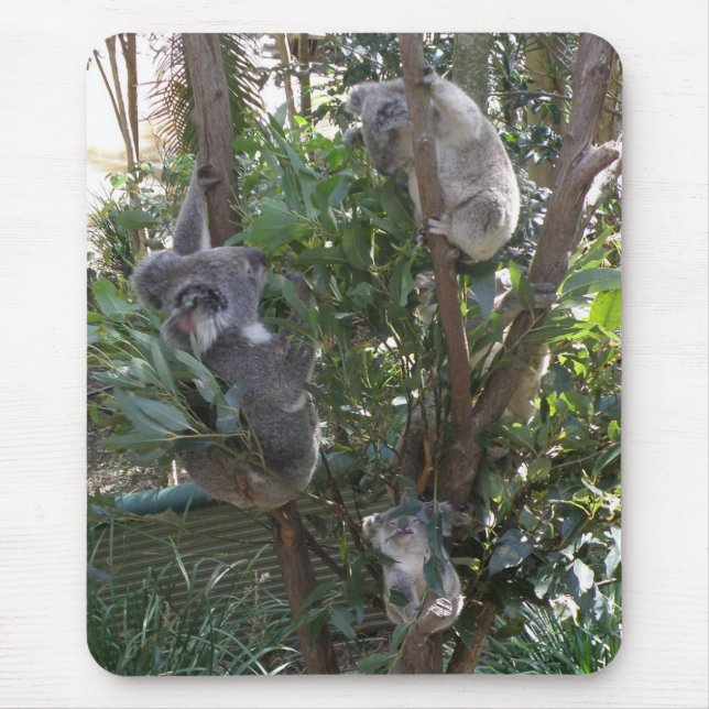 Mousepad Adote um Coala Austrália (Frente)