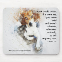 Adote um Pet de Abrigo - Beagle