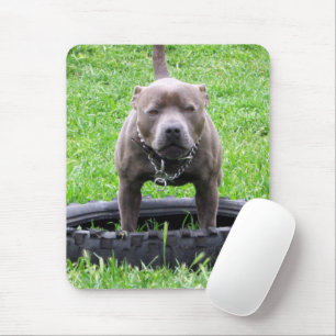 Mousepad Adulto Masculino Staffordshire Terrier Pronto Para