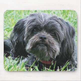 Mousepad Affenpinscher
