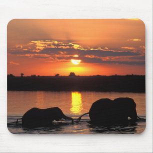 Mousepad África, Botsuana, Parque Nacional Chobe, Manada