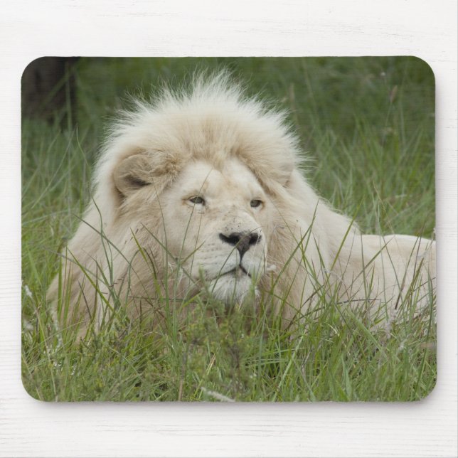 Mousepad África do Sul, Londres Oriental, Privada Inkwenkwe (Frente)