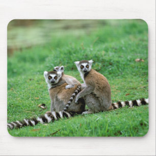 Mousepad África, Madagascar, Antananarivo, Tsimbazaza
