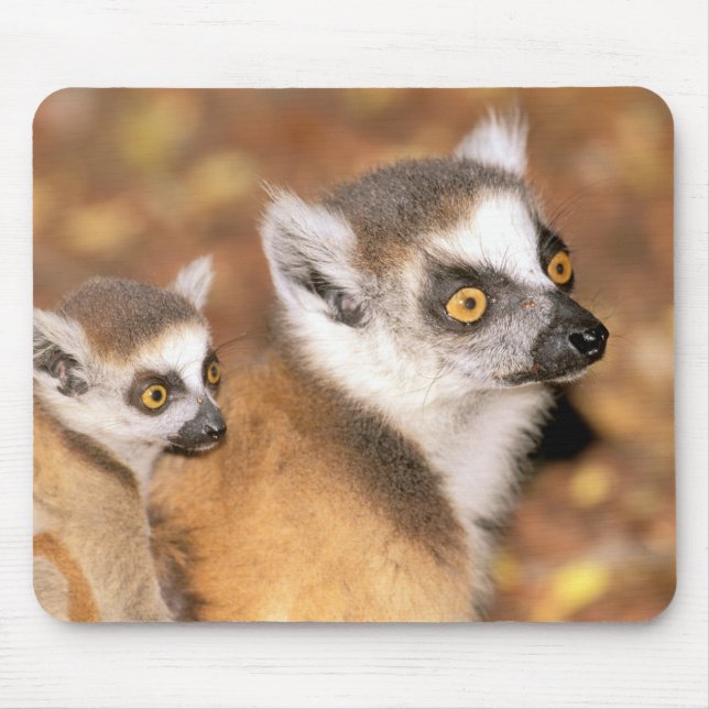 Mousepad África, Madagascar, Reserva Privada Berenty. (Frente)