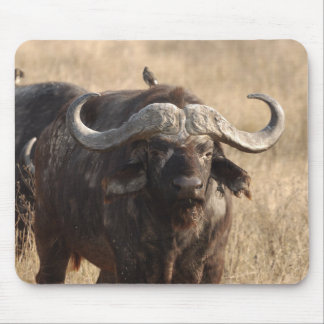 Mousepad África - O boi com grande corno