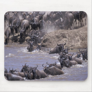 Mousepad África, Quênia, Parque Nacional Masai Mara.