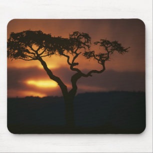 Mousepad África, Quênia, Reserva de Caça Masai Mara, Cenári