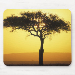 Mousepad África, Quênia, Reserva de Caça Masai Mara, Nascen