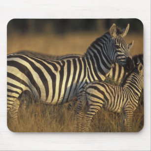 Mousepad África, Quênia, Reserva de Caça Masai Mara. Planíc