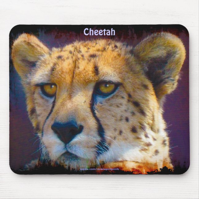 Mousepad África Selvagem Amantes de Animais Grandes Cinco (Frente)