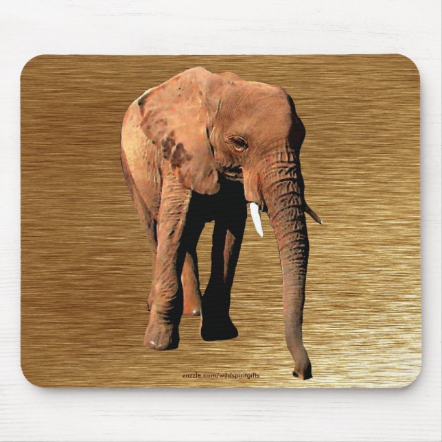 Mousepad África Selvagem Amantes de Animais Grandes Cinco (Frente)