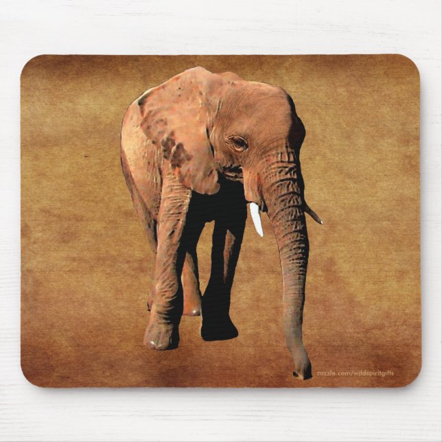 Mousepad África Selvagem Amantes de Animais Grandes Cinco (Frente)