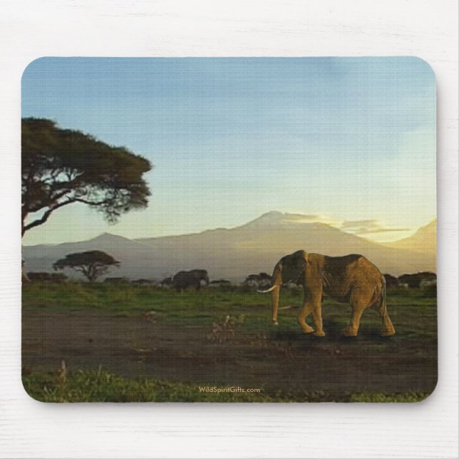 Mousepad África Selvagem Amantes de Animais Grandes Cinco (Frente)