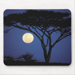 Mousepad África, Tanzânia, Tarangire. Árvore de Acácia em