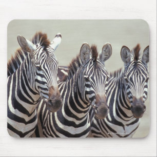 Mousepad África, Tanzânia, zebras