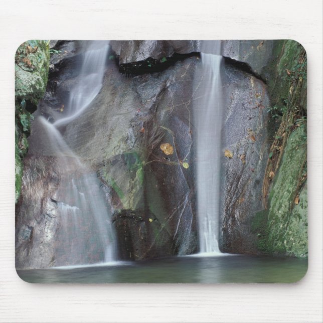 Mousepad África, Uganda, floresta impenetrável de Bwindi, (Frente)