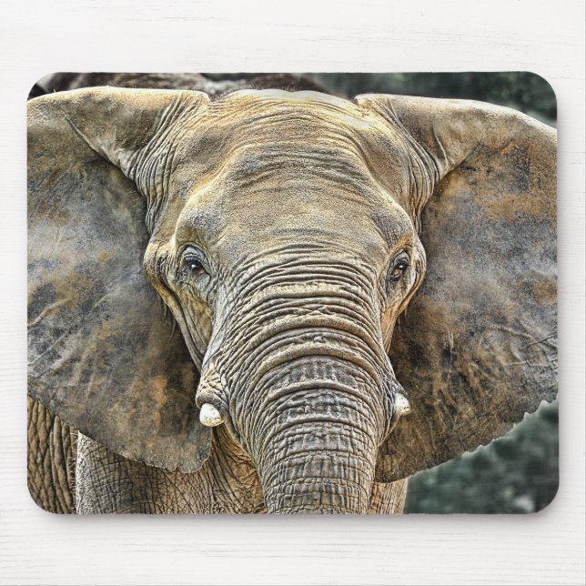 Mousepad Africano do elefante todas as orelhas (Frente)