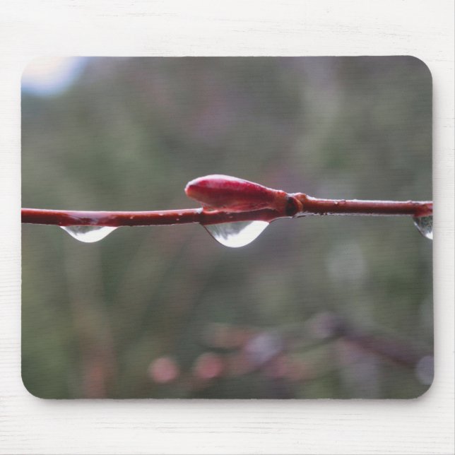 Mousepad After the Rain (Frente)