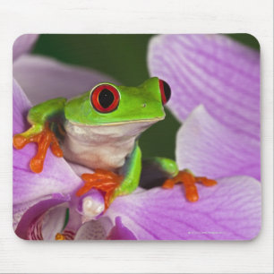 Mousepad Agalychnis callidryas.
