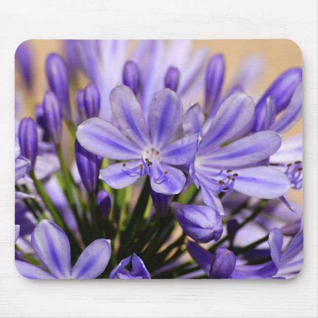 Mousepad Agapanthus (Frente)