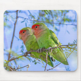 Mousepad Agapornis roseicollis
