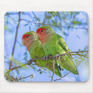 Mousepad Agapornis roseicollis