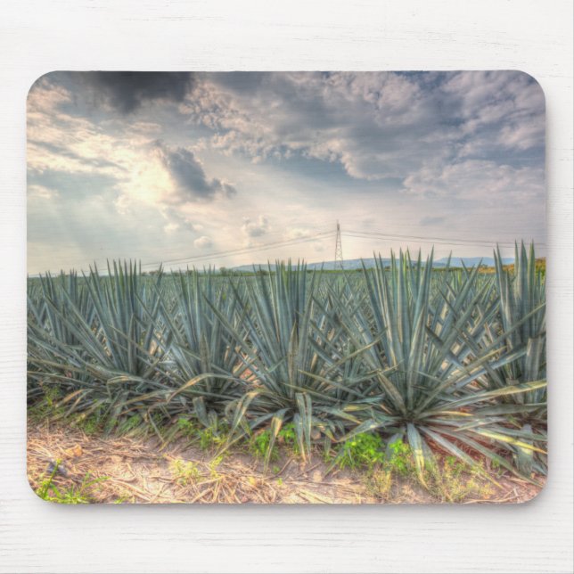 Mousepad Agave azul (Frente)