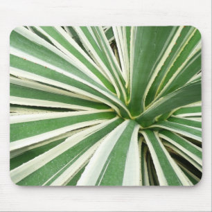 Mousepad Agave Plant Green e White Strike