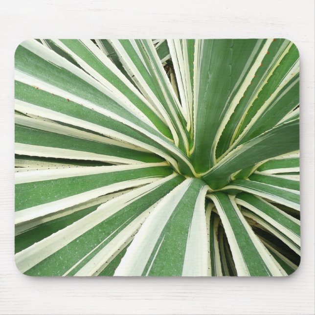 Mousepad Agave Plant Green e White Strike (Frente)
