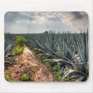 Mousepad Agave Tequilana