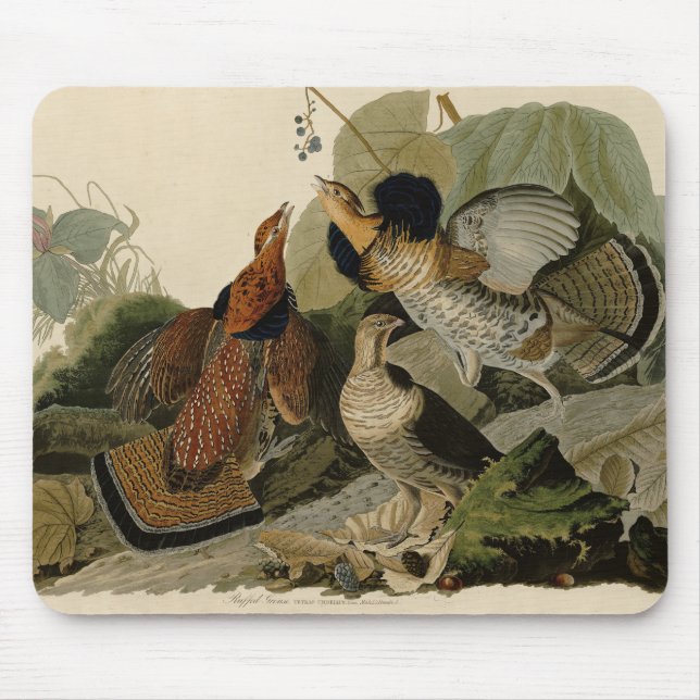 Mousepad Agrupamento Rachado - das Aves da América de Audub (Frente)
