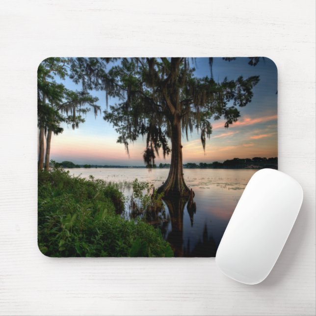Mousepad Água | Kraft Azalea Park Maitland Florida (Com mouse)