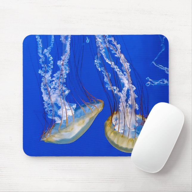 Mousepad Água-Velo Na Água Azul (Com mouse)