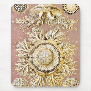Mousepad Água-viva, Desconto de Ernst Haeckel
