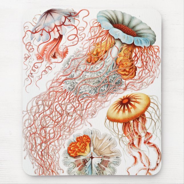 Mousepad Água-viva, Disco de Ernst Haeckel (Frente)